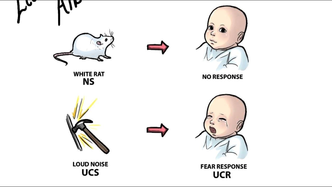 Father of behaviorism image