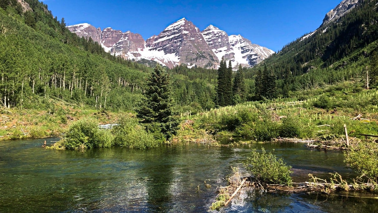 Sounds From The Summer Forest Calming Nature Sounds Coming From The By Colton Hunter Medium Sounds From The Summer Forest Calming Nature Sounds Coming From The By Colton Hunter Medium
