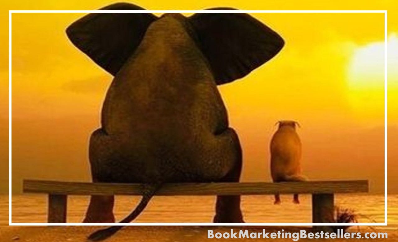 Choose to Be Kind. And you will always be right. | by John Kremer