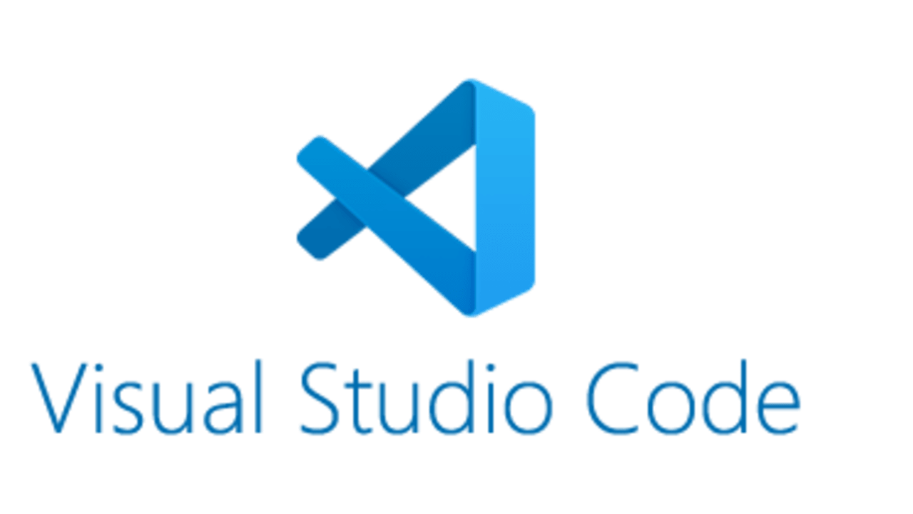 developing in visual studio code vs visual studio