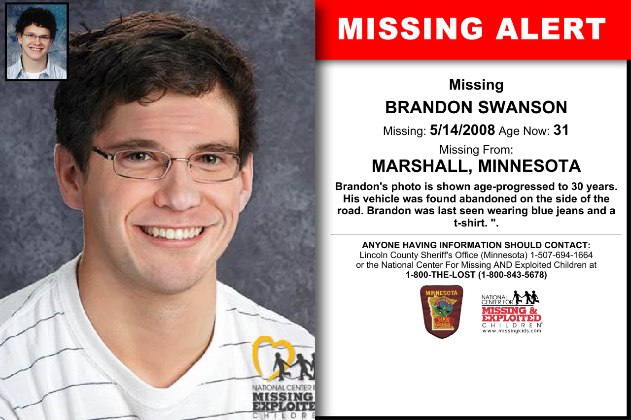 The Mysterious Disappearance of Brandon Swanson by Megan Ashley