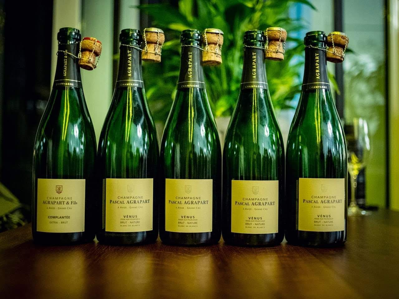 Pascal Agrapart and his champagnes | by Stas Medvedev | Medium