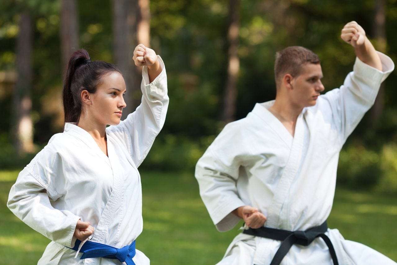 all the karate belts in order