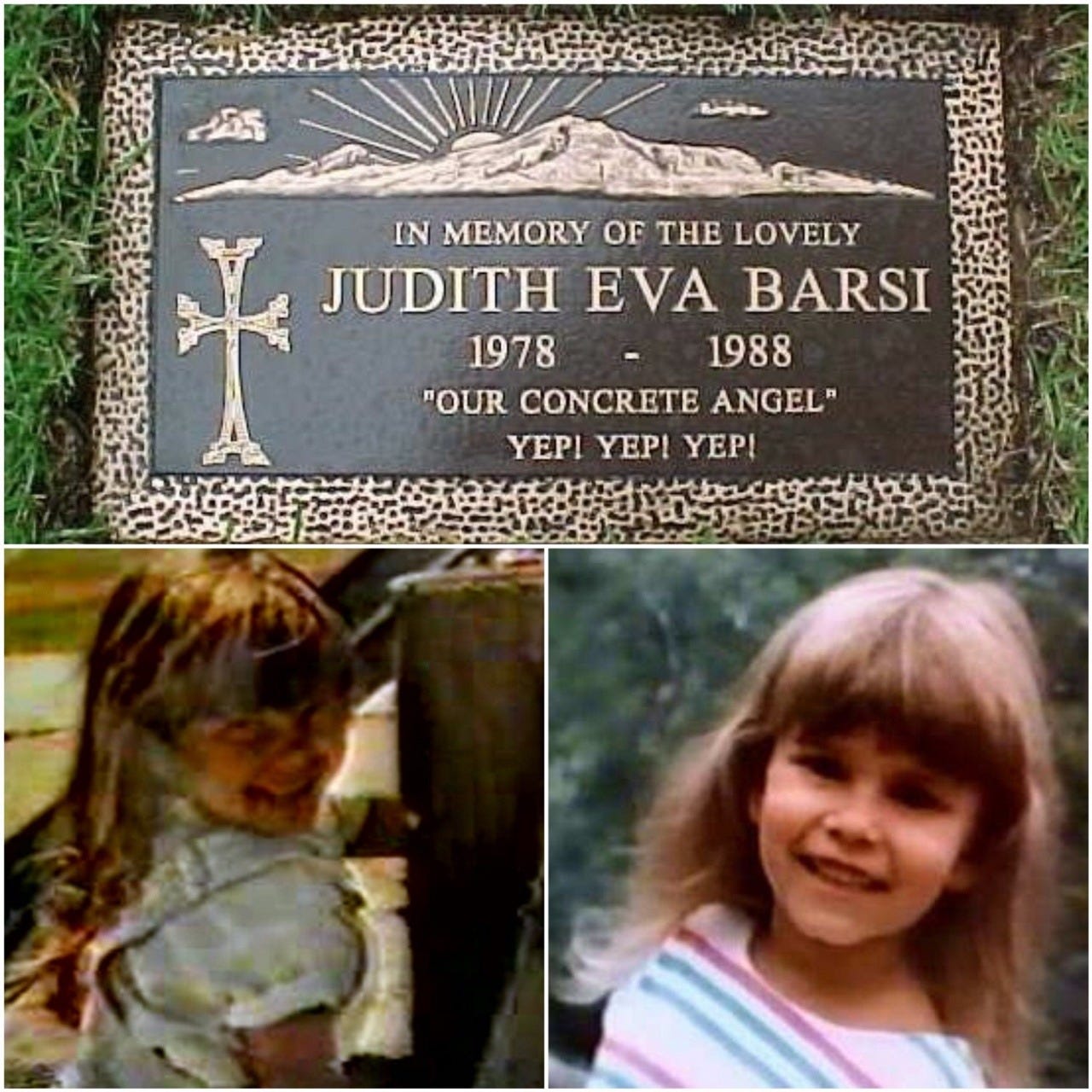 pix Yep Yep Yep Dinosaur heartbreaking murder of judith barsi