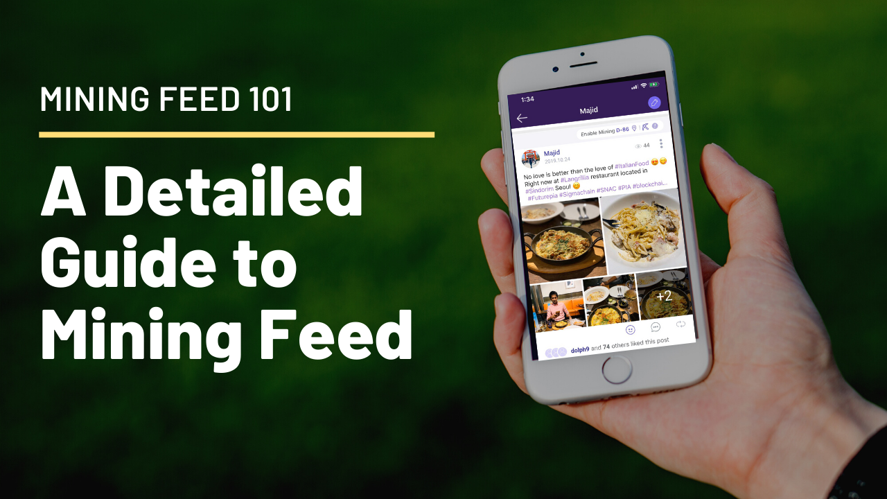 Rewards Feed