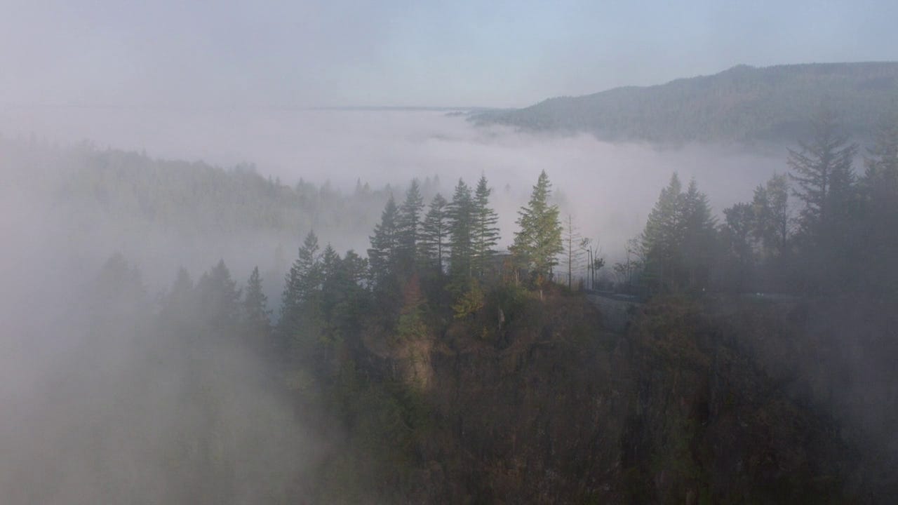 A foggy shot of the mountains and forests outside the fictional town of Twin Peaks.
