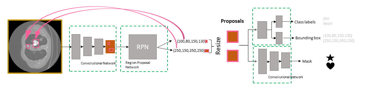 Building A Mask R Cnn From Scratch In Tensorflow And Keras By Franciska Rajki Mar 21 Towards Data Science