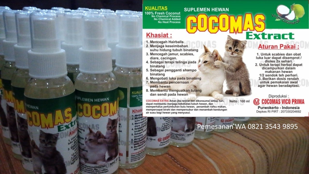 Obat Cacing Untuk Kucing Penajam Di Kalimantan Timur 0821