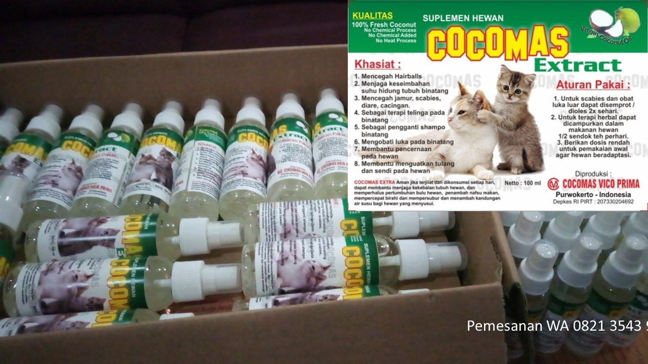 Obat Flu Kucing Sungai Liat Di Bangka Belitung 0821 3543 9895