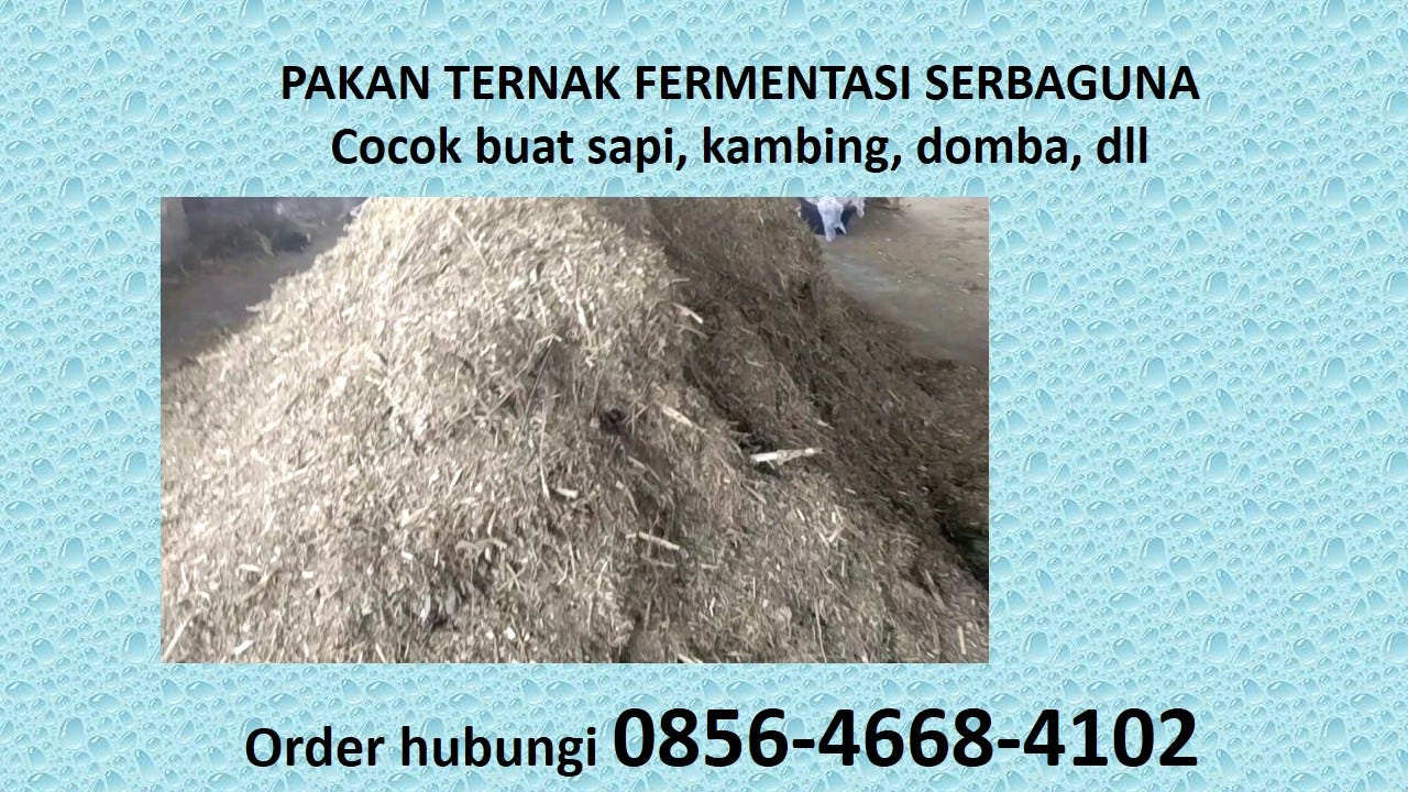 0856 4668 4102 Grosir Pakan Sapi Jual Mesin Pencacah Rumput Gs6