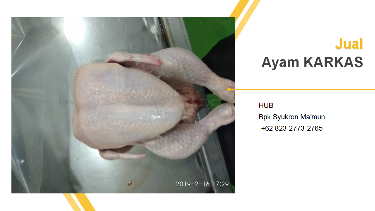 Wa 62 82327732765 Harga Ayam Karkas Frozen Hari Ini