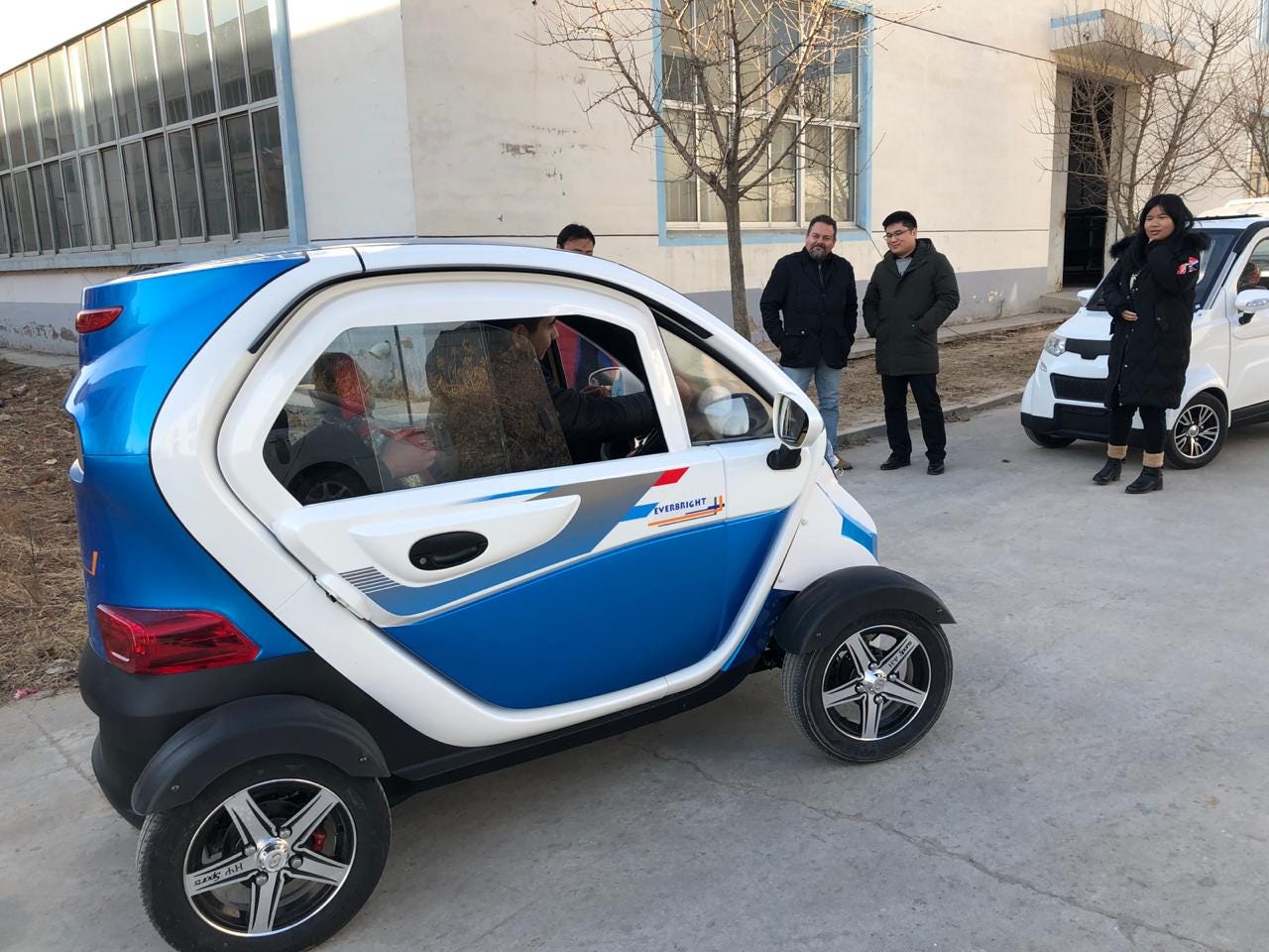 Will LSEV (low speed electric vehicle) sales be highest selling segment