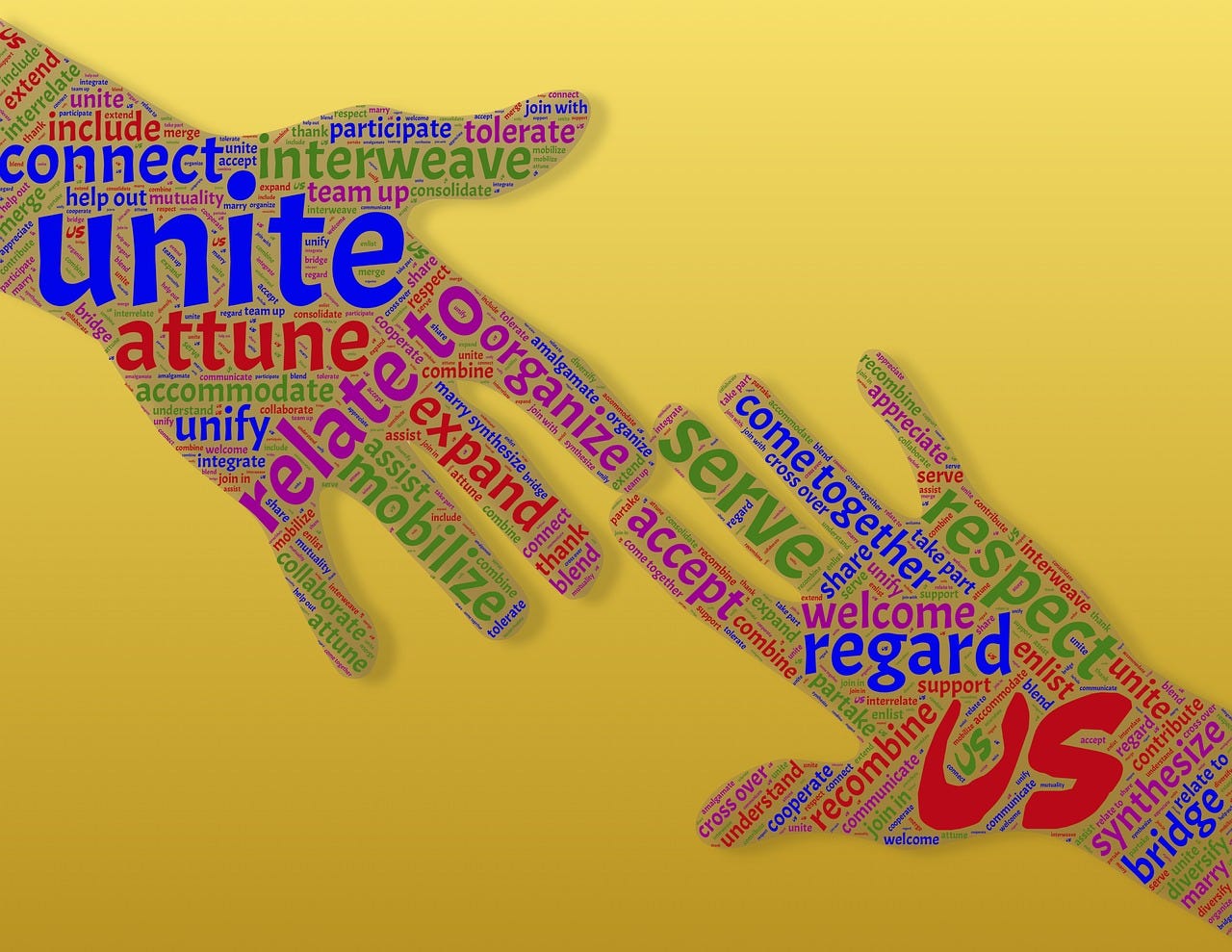 The Non Profit Diversity Leadership Deficit A Call To Live - 