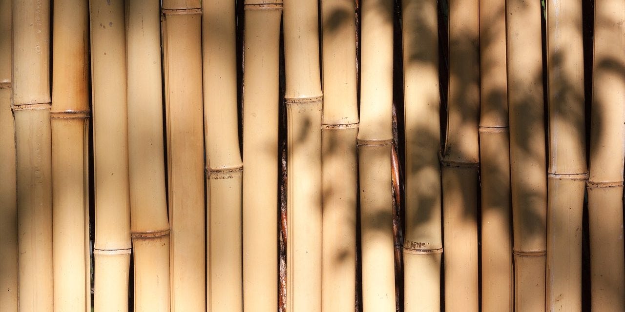 The Pros And Cons Of Bamboo In Green Building Elemental Green