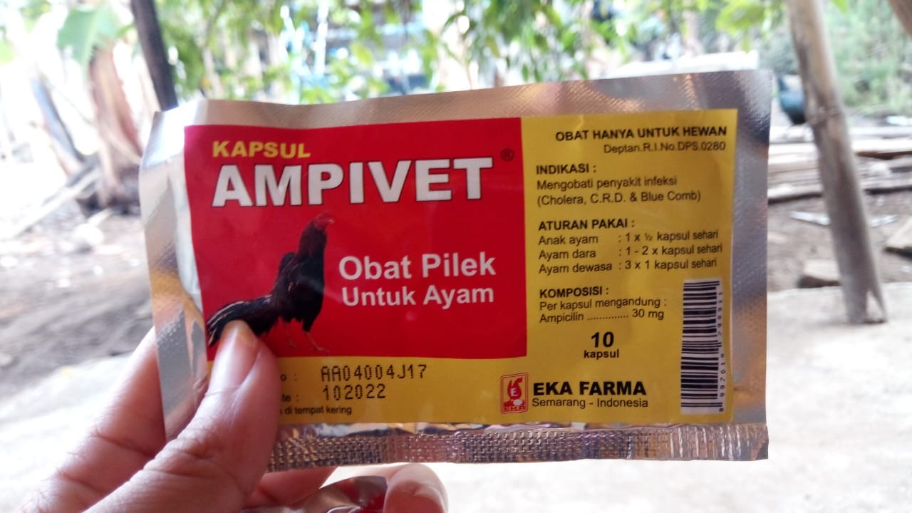Wa O852279o2o2o Unik Jual Obat Ngorok Yang Ampuh Untuk