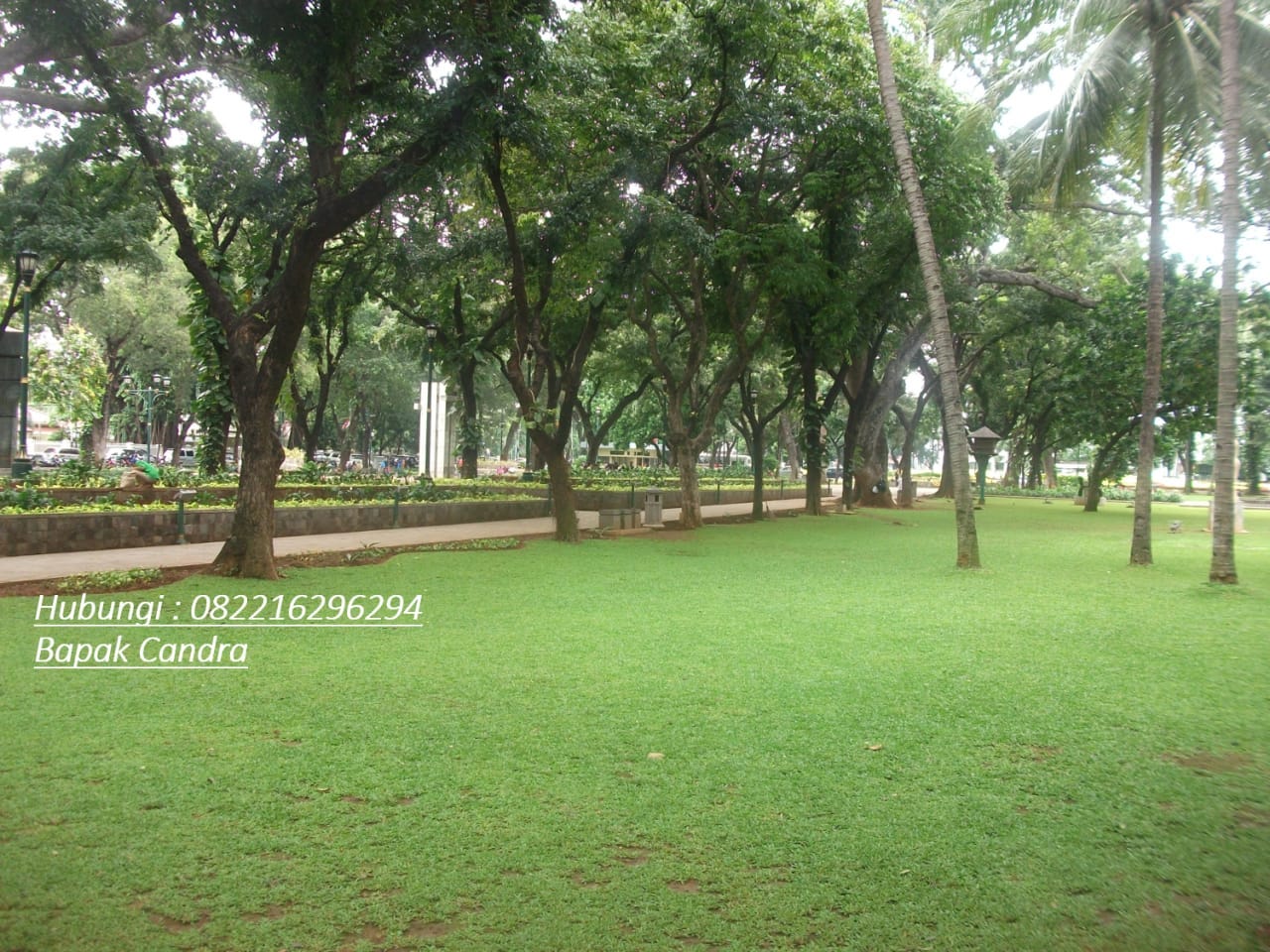 Wa 0822 1629 6294 Central Pembuatan Taman Rumah Minimalis