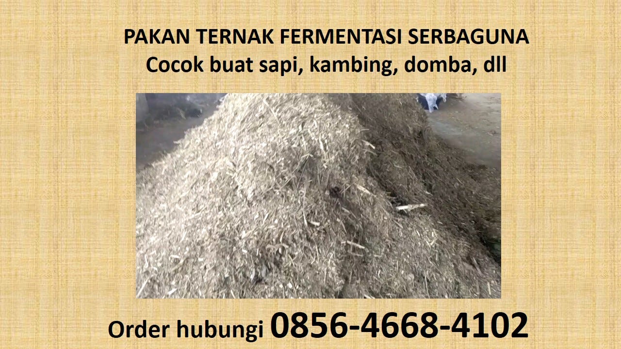 0856 4668 4102 Jual Konsentrat Sapi Di Bogor Jual Mesin Pencacah