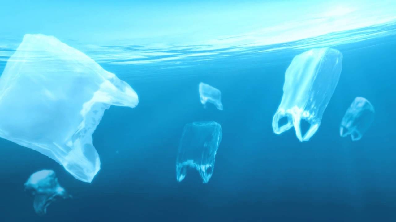 Plan to ban importation of nonbiodegradable plastic bags by Fiji