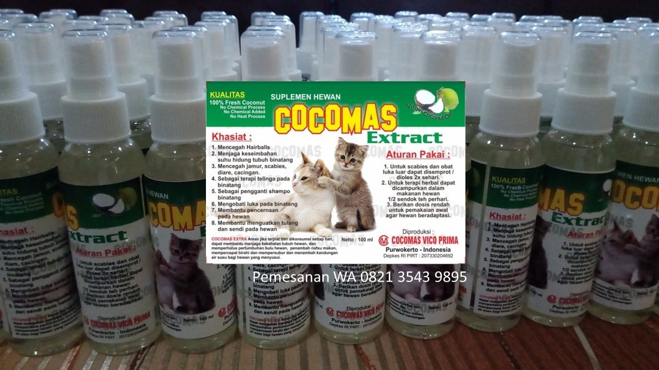 Kucing Mencret Dan Muntah Makanan