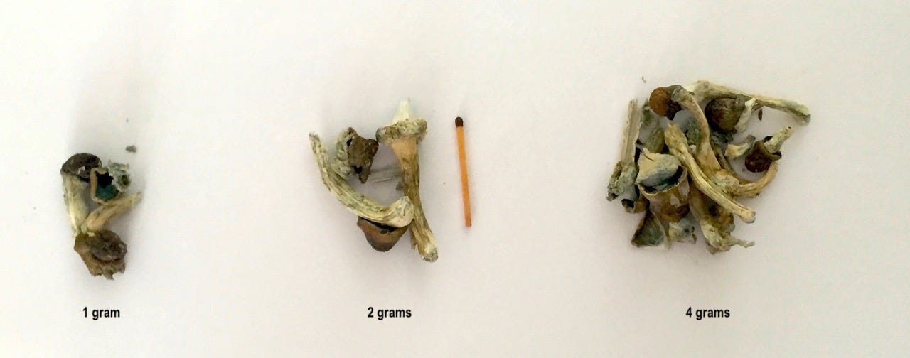 Magic Medicine. Psilocybin — the compound found in… | by Leonie Joubert | Letters from the Global South | Medium Magic Medicine. Psilocybin — the compound found in… | by Leonie Joubert | Letters from the Global South | Medium