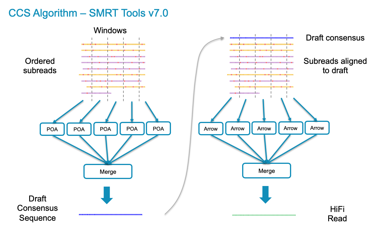SMRT Leiden 2019 Day 3: Bioinformatics for Transcriptome, Genome ...