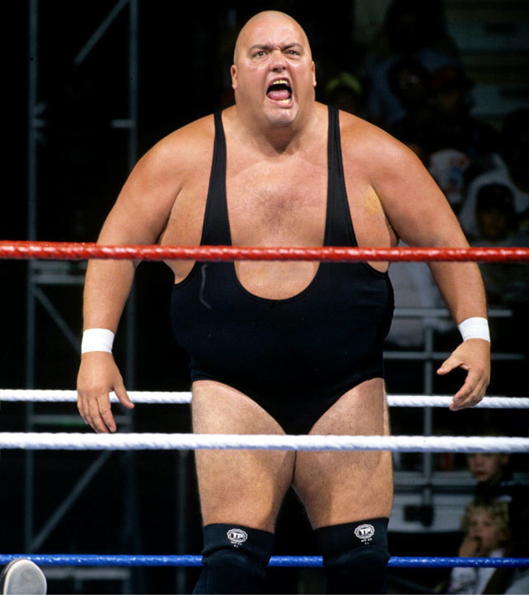 fat wrestlers