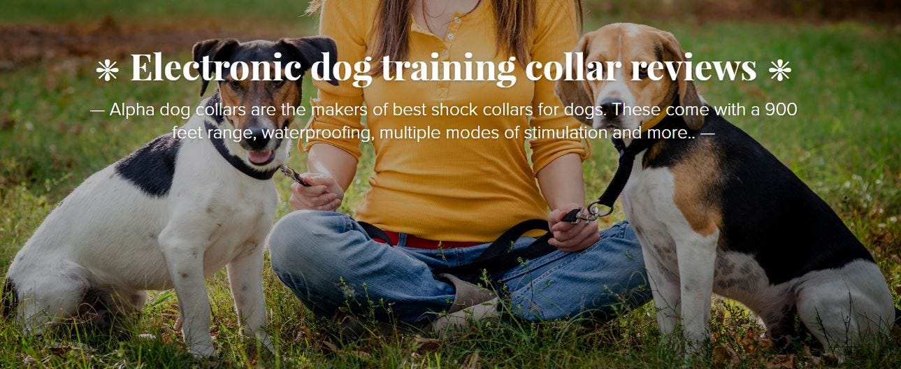 alpha dog shock collar