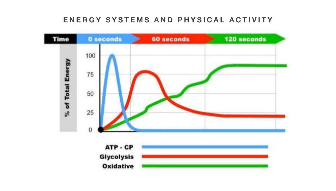 Body Energy Systems Chart