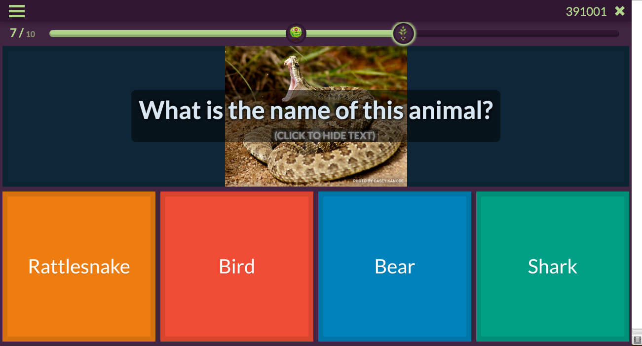 Quizizz create