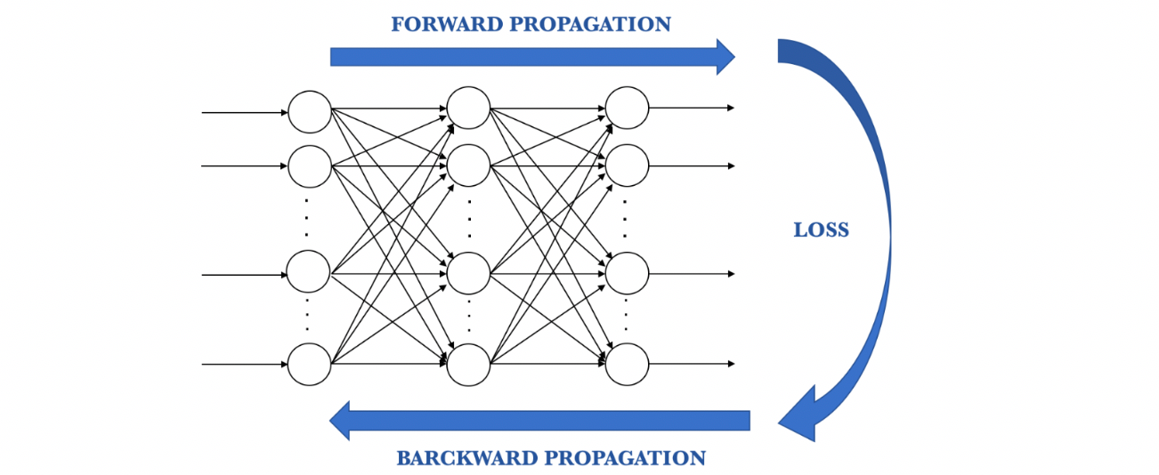 Learning process of a neural network 