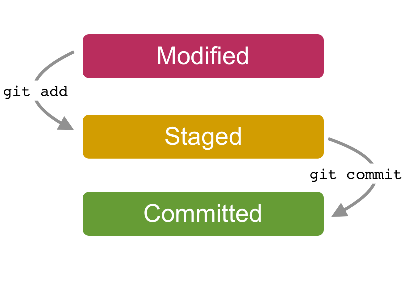 An Intro To Git And GitHub For Beginners Part I (Tutorial) | By Munira ...