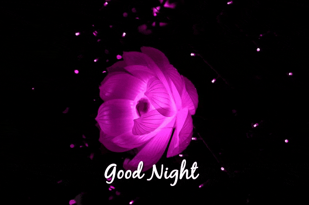 good night