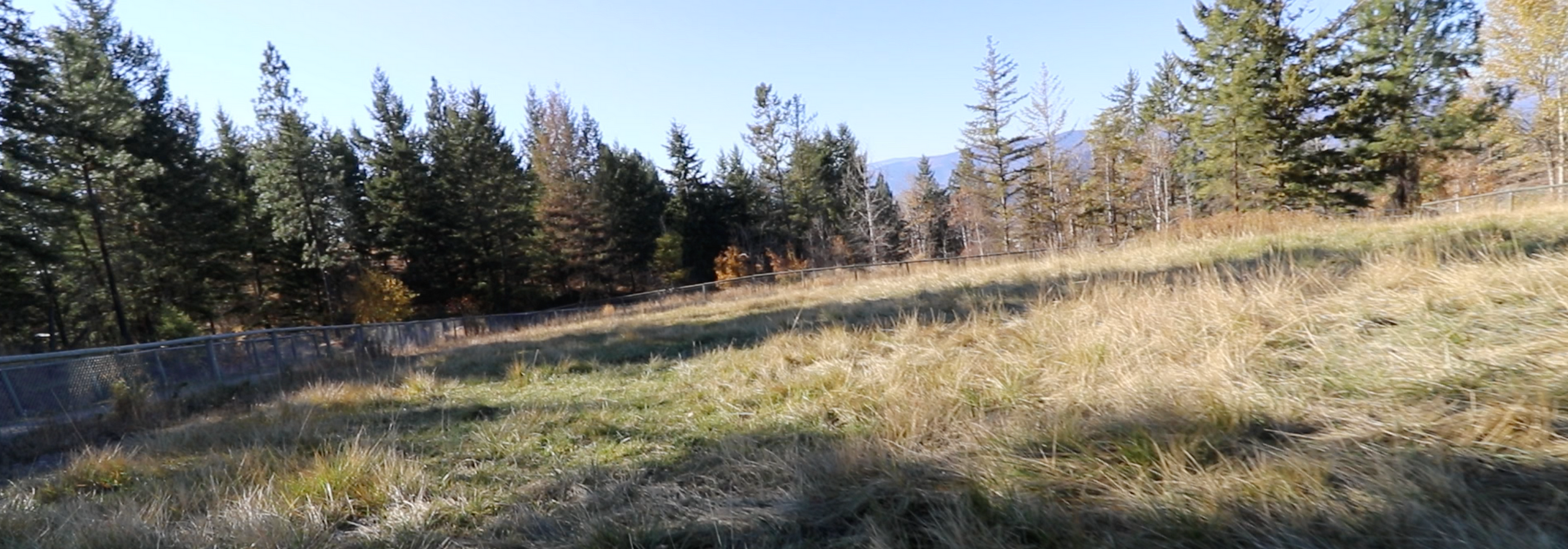 The Two Most Important Considerations When Looking For A Farm By Curtis Stone Medium The Two Most Important Considerations When Looking For A Farm By Curtis Stone Medium