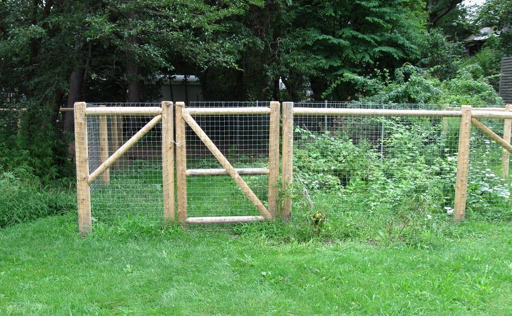 The Best Dog Fence Ideas West Florida Fence Medium