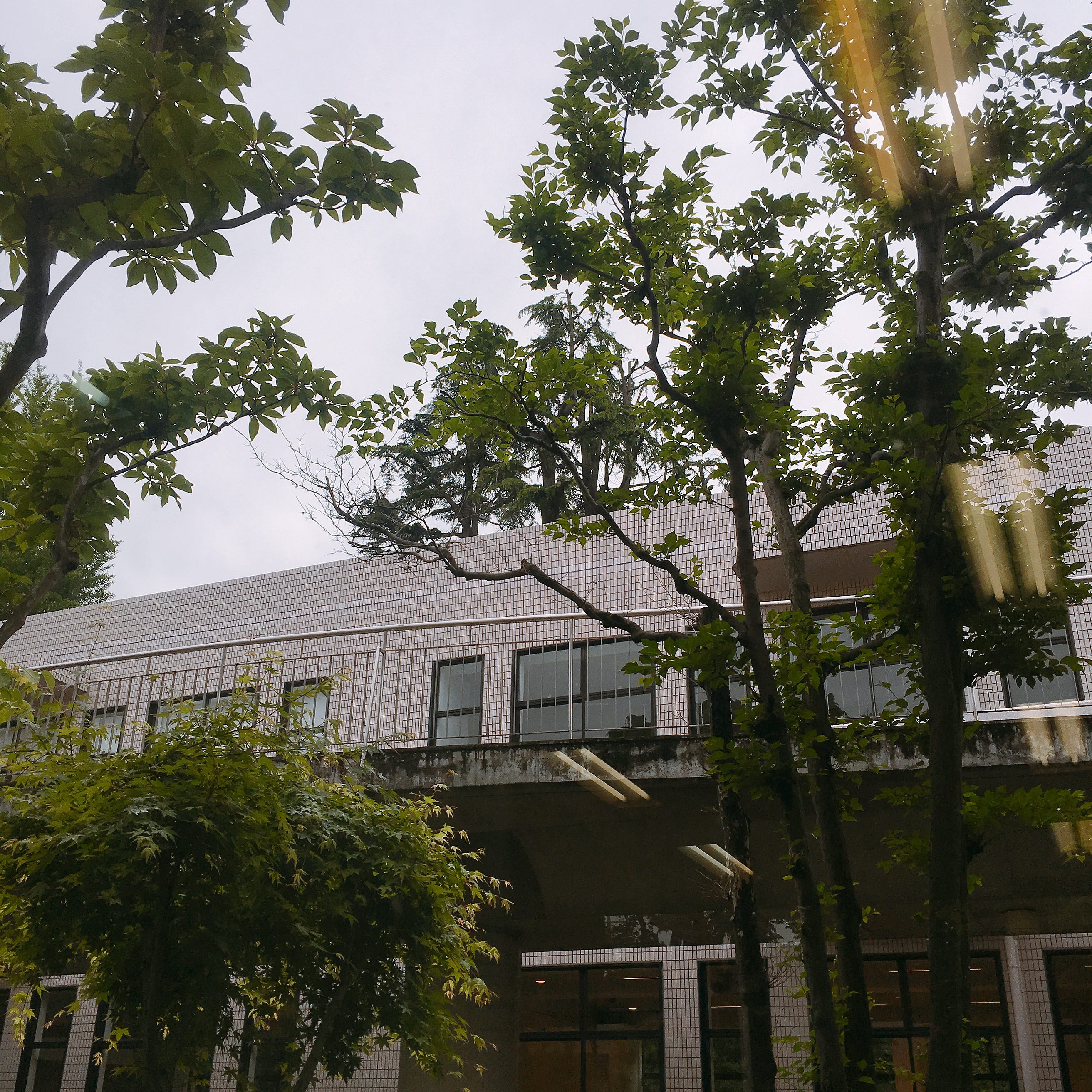 嘉悦学生ssnb Medium