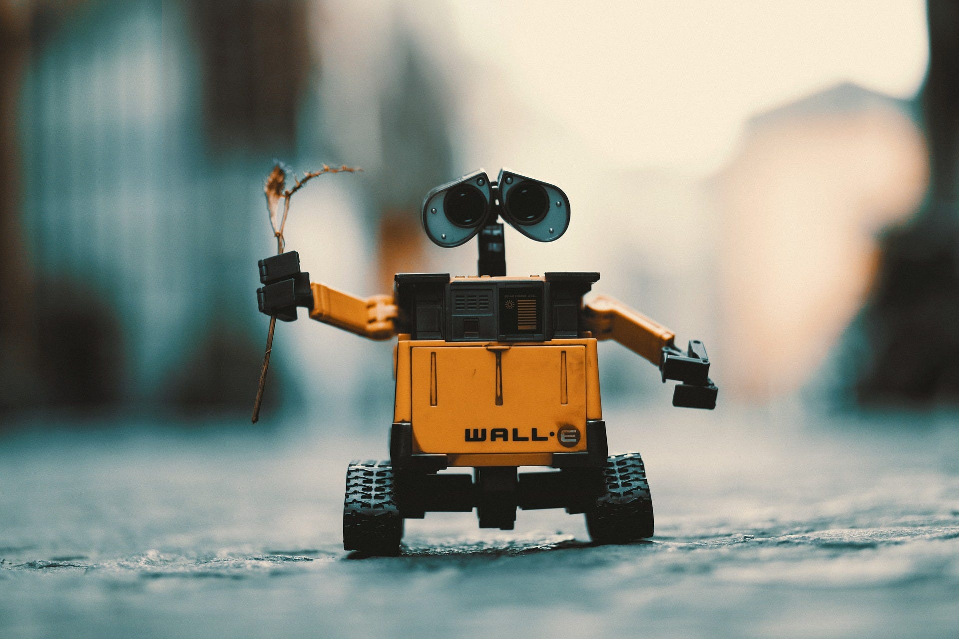 Is Wall E Male Or Female How A Pair Of Animated Robots Reveal By Roman Voytko Barrosse Medium Is Wall E Male Or Female How A Pair Of Animated Robots Reveal By Roman Voytko Barrosse Medium