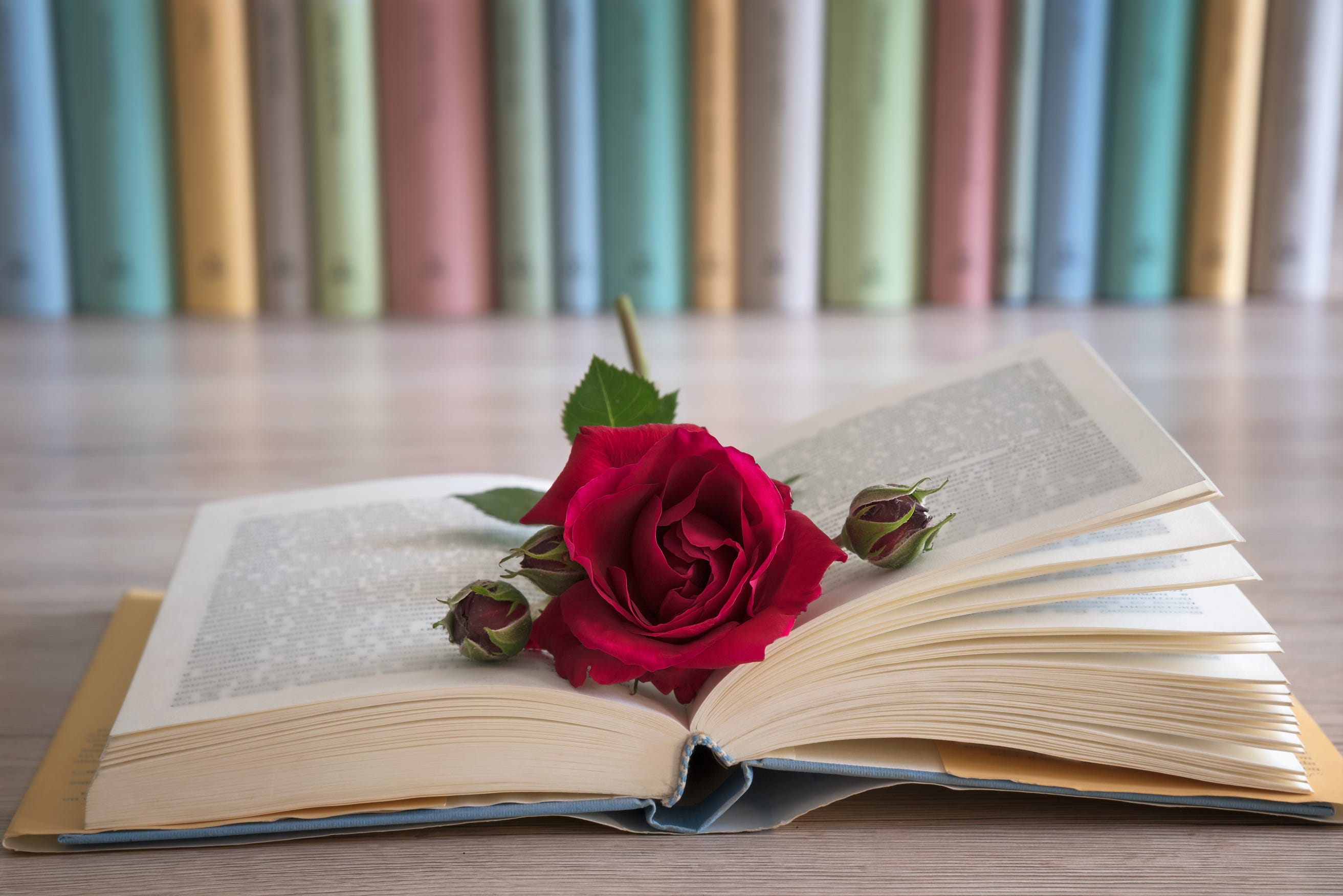 11 Books To Read If You Love Beauty And The Beast By Harperkids Medium 11 Books To Read If You Love Beauty And The Beast By Harperkids Medium