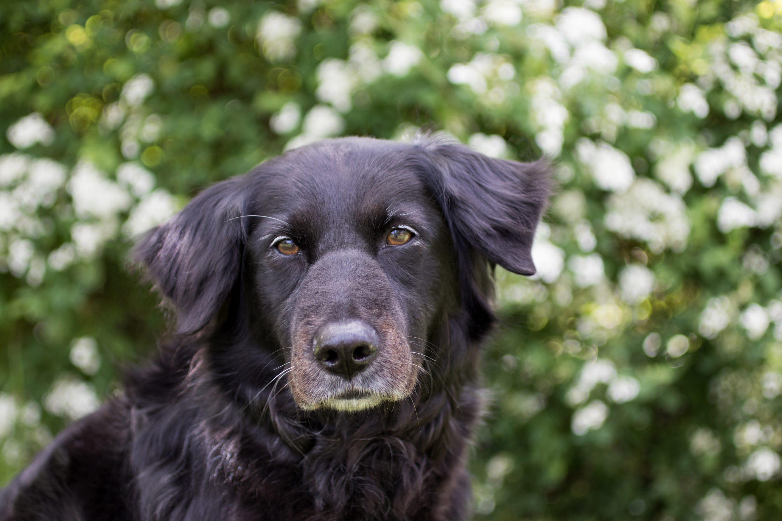 10 Cosmetic Brands That Still Test On Animals And What To Use Instead By Noushy Tenderly