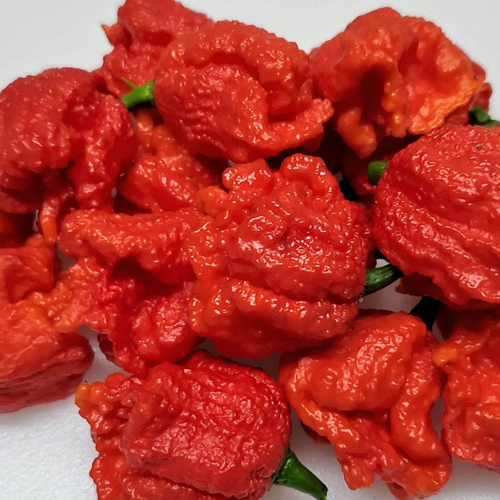 The Varieties Of Peppers I Grow At Home The Hottest Peppers And The Most Expensive Peppers By Horticulture Growlights Mar 21 Medium The Varieties Of Peppers I Grow At Home The Hottest Peppers And The Most Expensive Peppers By Horticulture Growlights Mar 21 Medium