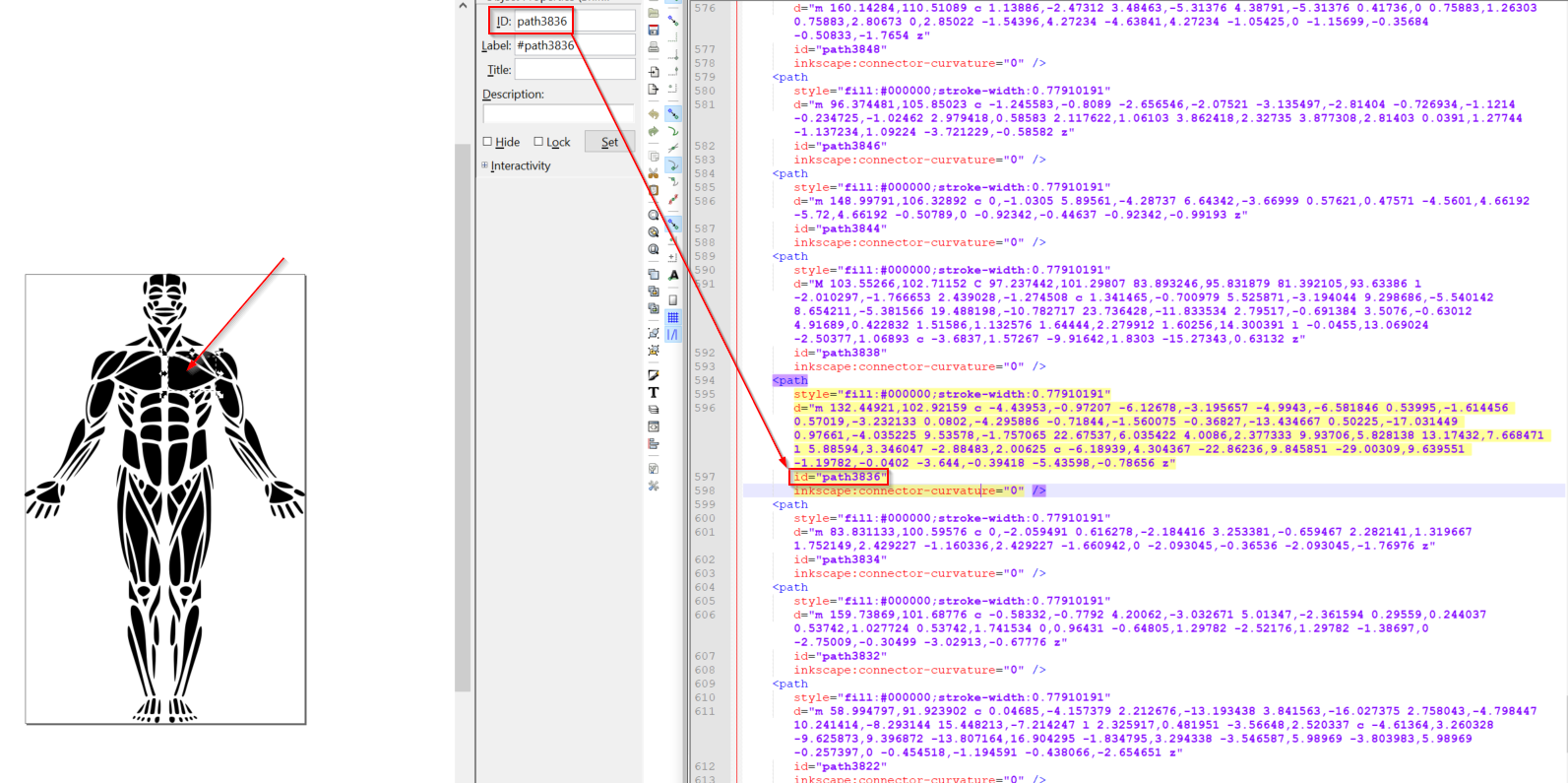 Download Interacting With Svg Images In Flutter By Joseph Muller Medium