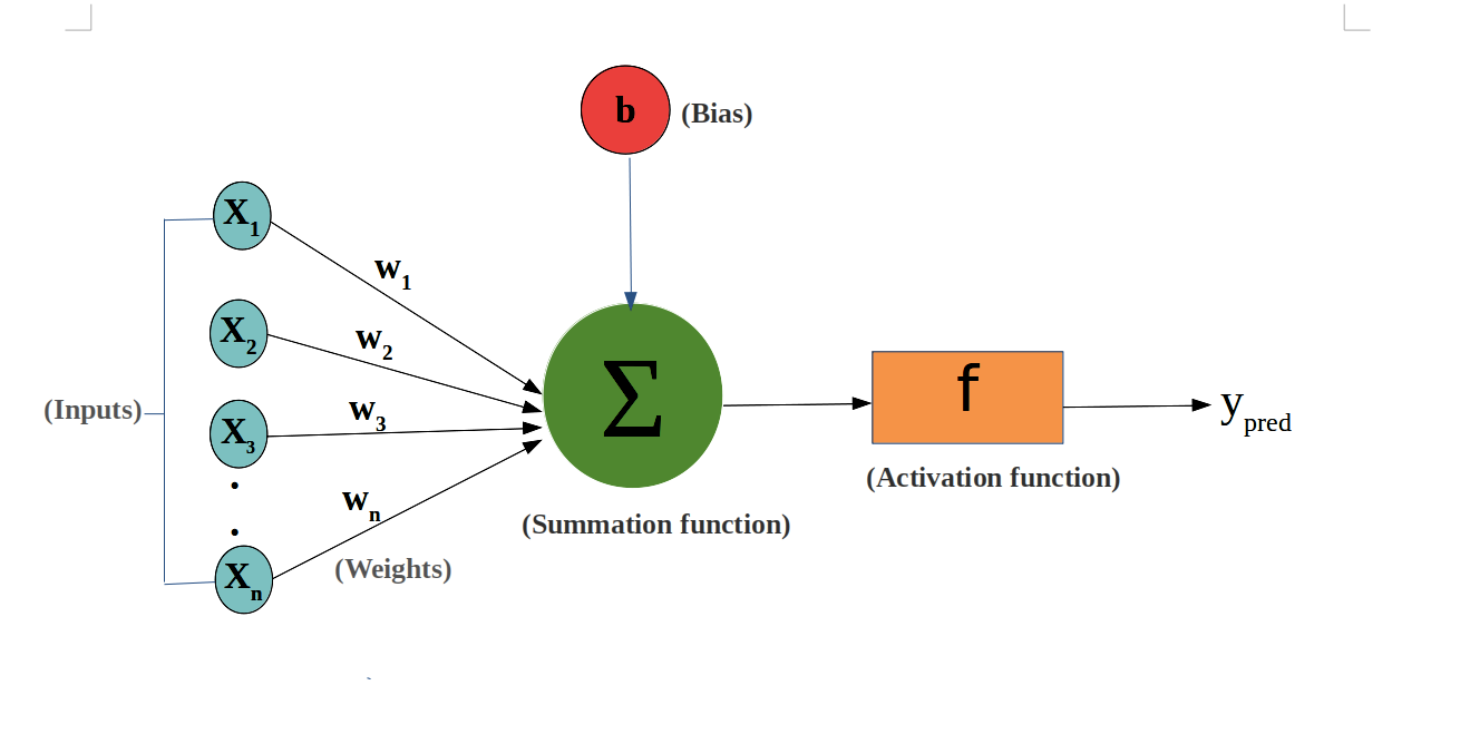 Weights and Bias in a Neural Network Towards Data Science