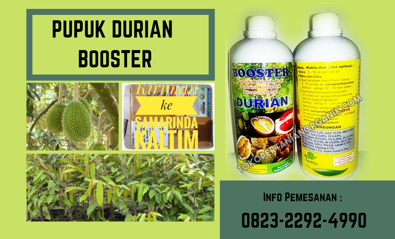 56 Pupuk Hantu Untuk Durian Terbaru