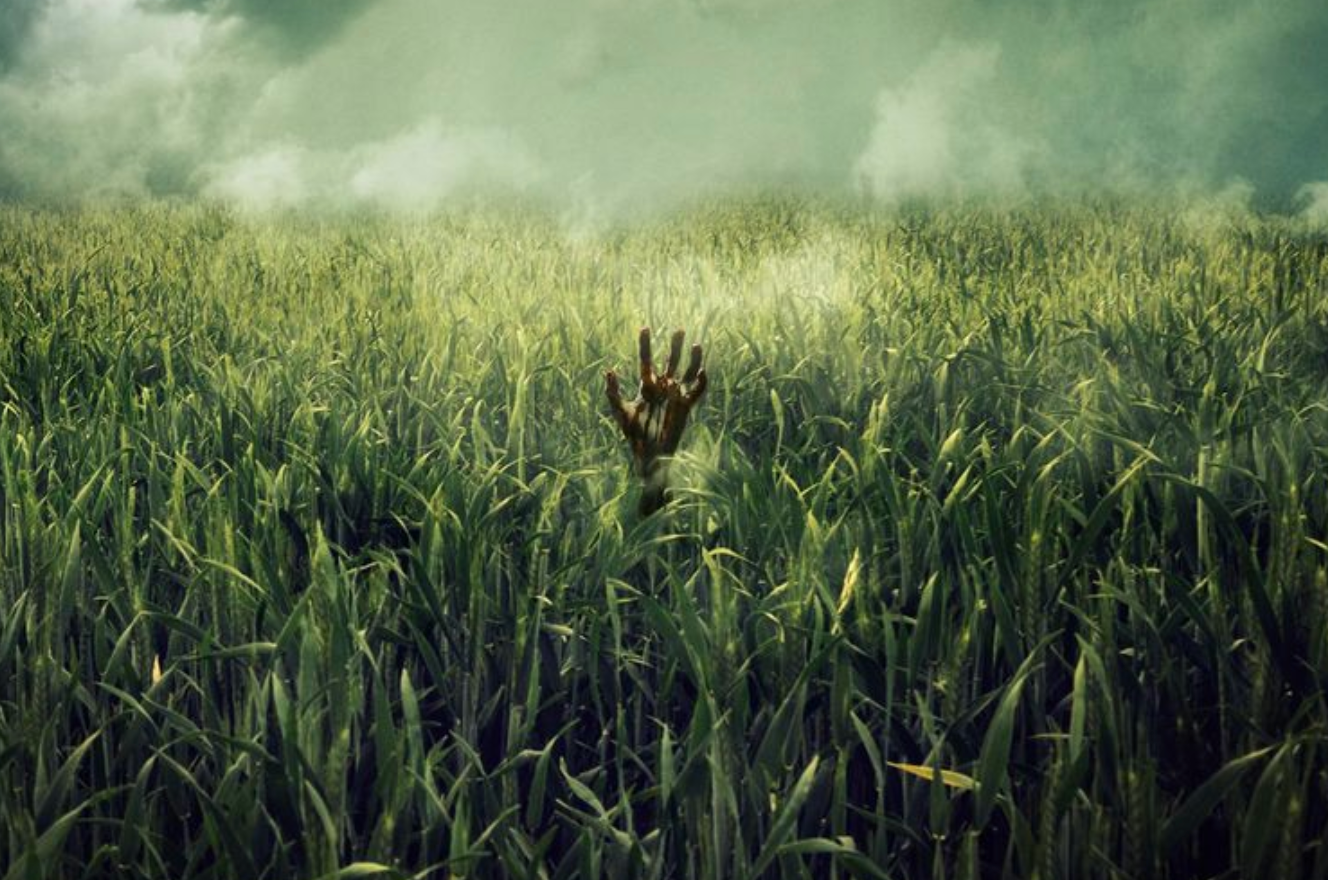 In The Tall Grass: AKA Groundhog Day If It Was A Horror Film