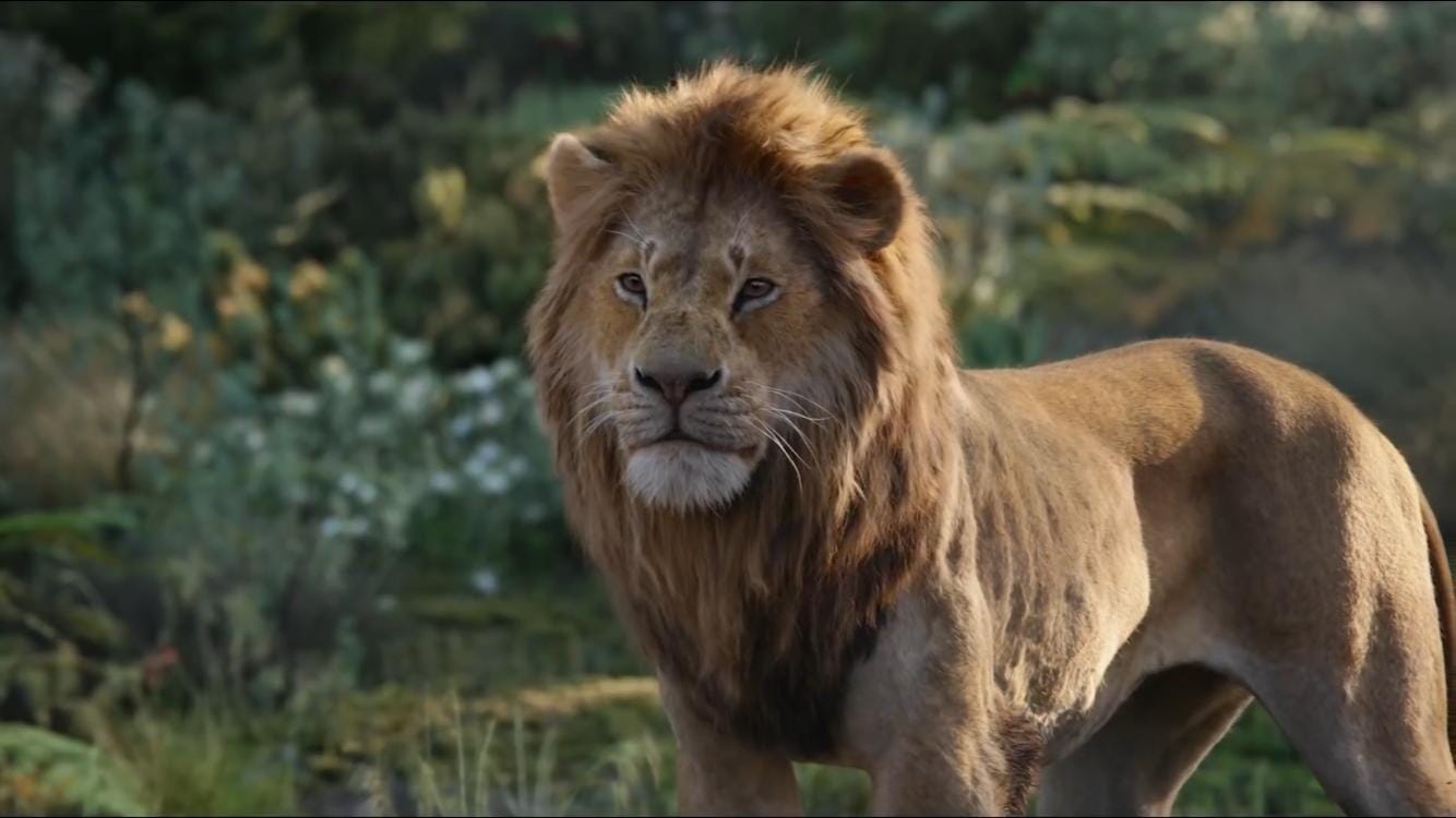Movie The Lion King 2019 Google Drive Watch Download Free By The Lion King 2019 Movie Medium