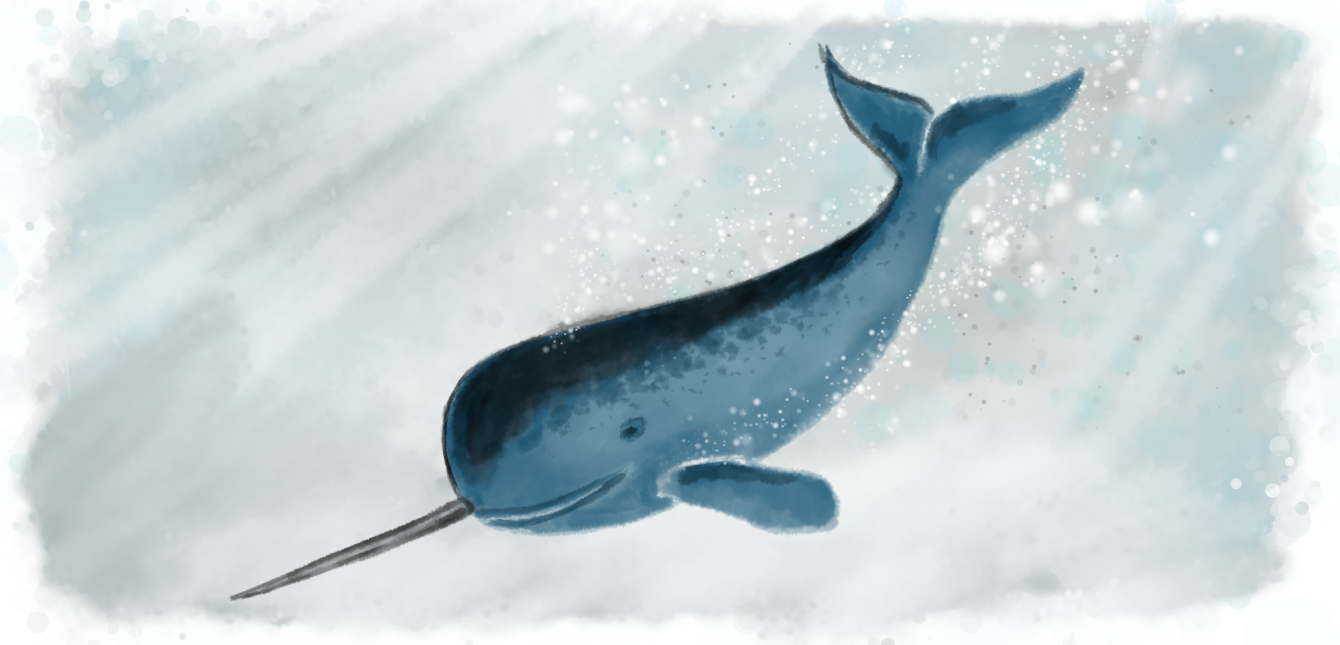 Blogging With Narval Narval Is A Static Blog Generator By Ench Medium