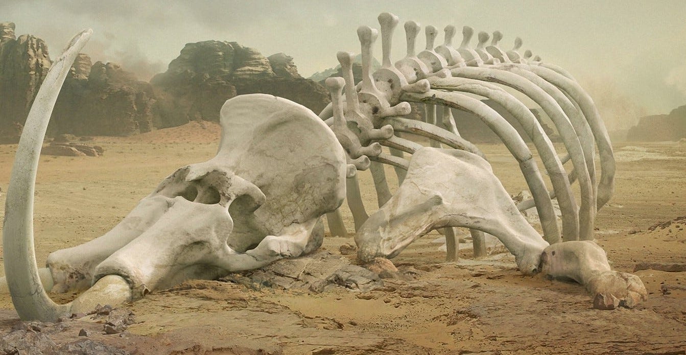 5 Mass Extinctions in Earth’s History History of Yesterday