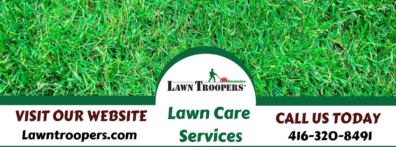 lawn care companies