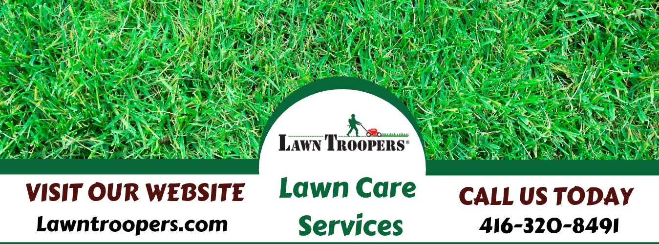 best lawn company