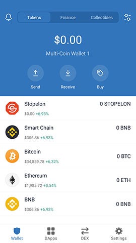 Stopelon Buying Guide (PancakeSwap) | by Stopelon | Oct, 2021 | Medium