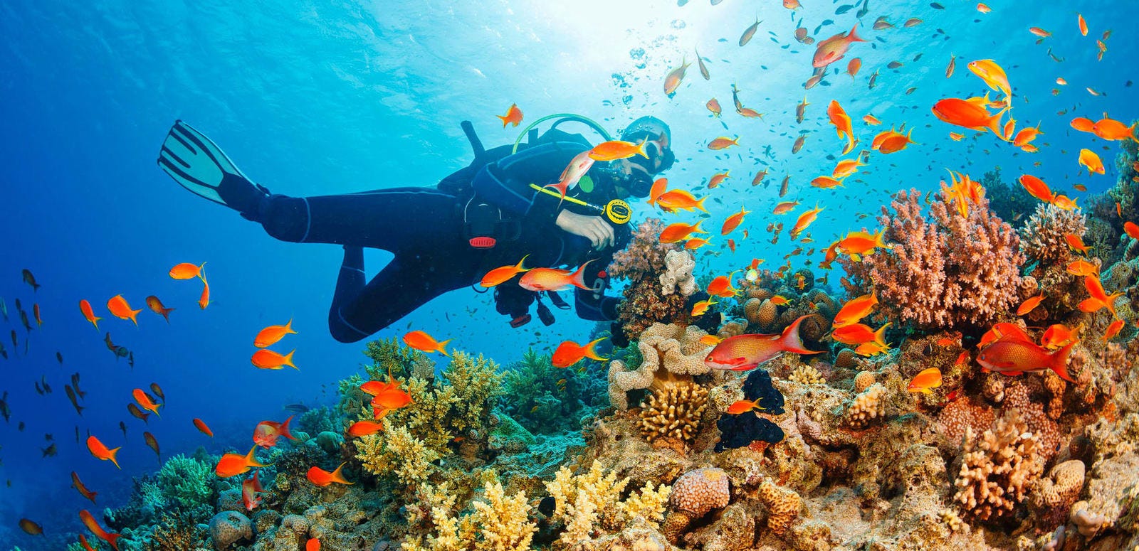 Let's Go Scuba Diving in Malaysia! 3 Best Locations